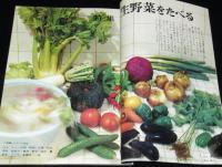 家庭画報　昭和35年9月号　レコード実用ものがたり/岩崎ちひろ/高峰秀子