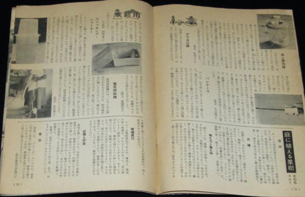 婦人画報】1983年07月号 ☆ 表紙：吉永小百合 / 酒井和歌子