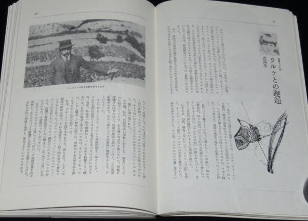 ユリイカ[詩と批評] 1972年10月号 特集：リルケ/高橋睦郎/草野
