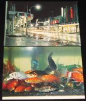 【絵葉書】なよろ　封筒入6枚　昭和40年代頃　名寄駅前通りの商店中心街/緋鮒/名寄公園