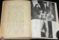 日本社会の病理解剖2 風俗犯罪