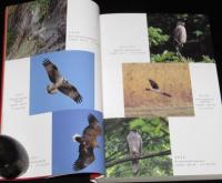 絶滅危惧の野鳥事典