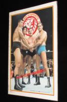プロレスアルバム19 ザッツ・レスラーVol.5 アントニオ猪木と過激なる軍団　ポストカード付