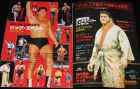 プロレスアルバム19 ザッツ・レスラーVol.5 アントニオ猪木と過激なる軍団　ポストカード付