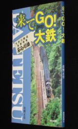 来てGO！大鉄　大井川鉄道各駅停車ぶらり旅