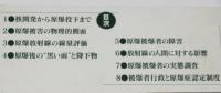 共同研究　広島・長崎原爆被害の実相