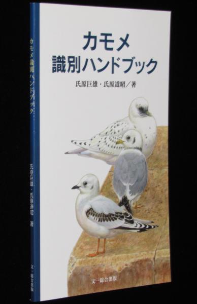 カモメ識別ハンドブック(氏原 巨雄・氏原 道昭) / 古本、中古本