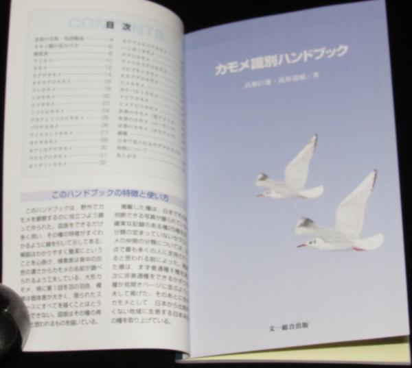 カモメ識別ハンドブック(氏原巨雄, 氏原道昭 著) / 古本、中古本