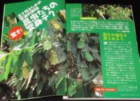子供の科学 2006年8月号　昆虫たちの変身テク/天ぷら油リサイクル/鉄道模型の世界
