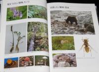 北海道　安全な登山