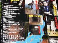 ザ・怖い話2008　付録DVD未開封/呪いの業者実録ルポ/芸能人の墓/ケータイ都市伝説