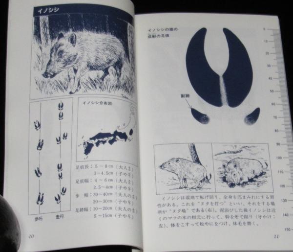 新アニマルトラック・ハンドブック 動物たちの足跡を読む(今泉