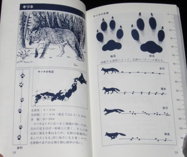 新アニマルトラック・ハンドブック 動物たちの足跡を読む(今泉