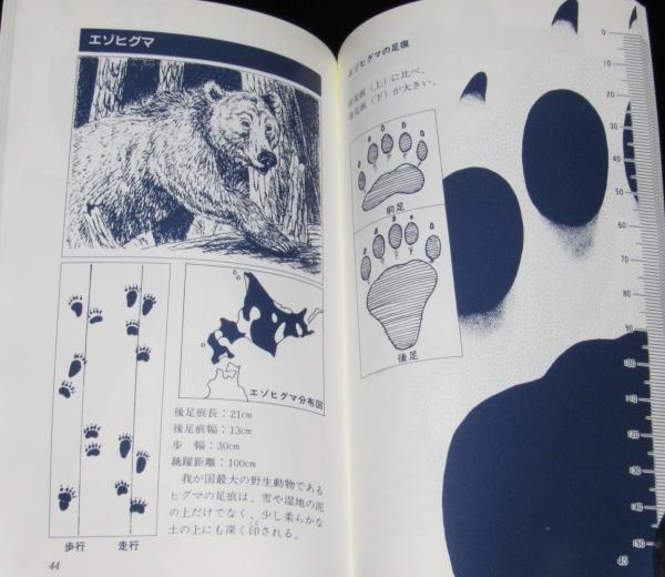 新アニマルトラック・ハンドブック 動物たちの足跡を読む(今泉