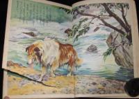 講談社の絵本ゴールド版46　名犬ラッシー　昭和35年/白木茂/古賀亜十夫