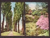 【絵葉書】美しい札幌　封筒入8枚　昭和30年代頃/札幌中心街 大通り／北大ポプラ並木