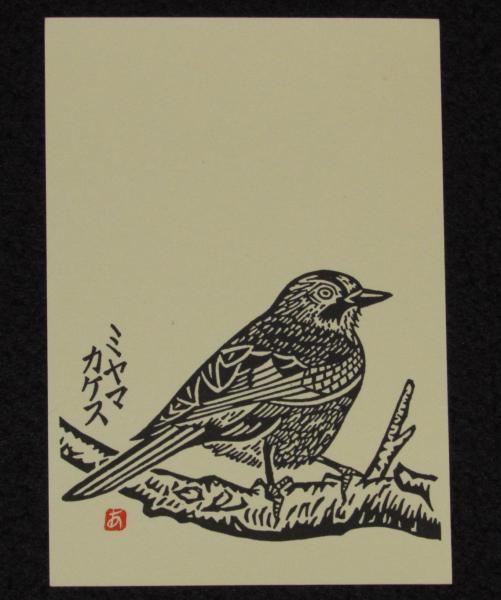 絵葉書】手摺版画 北海道の鳥 その壱 版・中野章 封筒入5枚/手摺