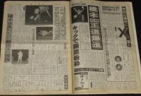 週刊ファイト No.1363　1994年6/16　鈴木スミス撃破/井上京子/三沢V7/デルフィン