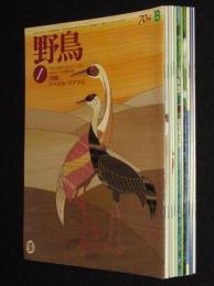 野鳥　2004年11冊セット　日本野鳥の会70年/バードウォッチング/野鳥と鳥インフルエンザ
