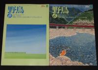野鳥　2004年11冊セット　日本野鳥の会70年/バードウォッチング/野鳥と鳥インフルエンザ