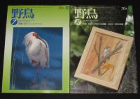 野鳥　2004年11冊セット　日本野鳥の会70年/バードウォッチング/野鳥と鳥インフルエンザ
