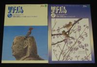 野鳥　2004年11冊セット　日本野鳥の会70年/バードウォッチング/野鳥と鳥インフルエンザ
