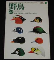 野鳥　2004年11冊セット　日本野鳥の会70年/バードウォッチング/野鳥と鳥インフルエンザ