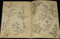 【駄玩具】コドモヌリエ　昭和20年代頃　ぬりえ/浅妻船/助六/花/動物/虫