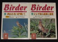 BIRDER バーダー　2000年10冊セット　バードウォッチング/隼/海燕/キツツキ/猛禽類