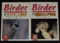 BIRDER バーダー　2000年10冊セット　バードウォッチング/隼/海燕/キツツキ/猛禽類