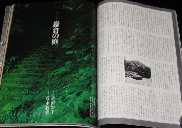 太陽 1976年8月号 特集:日本の庭 京都・鎌倉/絵で見る庭園史 太陽 1976年8月号 特集:日本の庭 京都・鎌倉/絵で見る庭園史