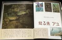 新アユのすべて　週刊釣りサンデー　別冊新魚シリーズ6