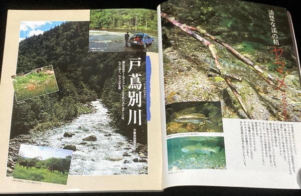 別冊つり人（4）北海道 北の渓流魚/現地名手たちのエッセイ/フィールド