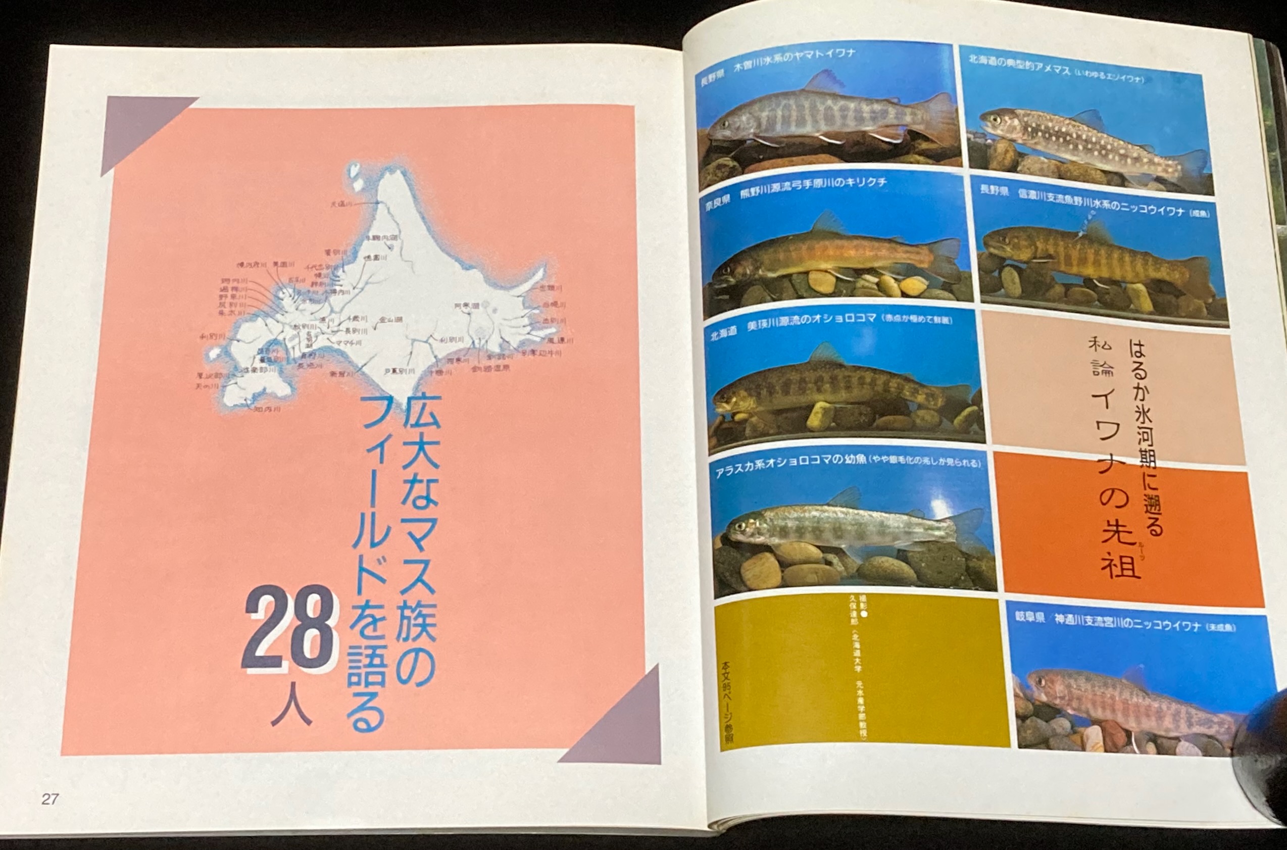 渓流　別冊つり人　1986-1992 渓流 別冊つり人 1986-1992 渓流 別冊つり人 1986-1992 渓流2024