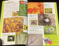 子供の科学 2009年9月号　化石発掘大作戦/デジルーペで撮る超ドアップ写真