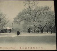 【戦前絵葉書】冬の北海道帝国大学