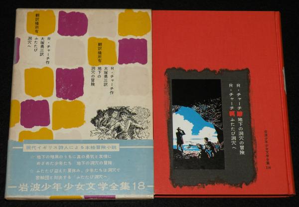 岩波ジュニア文庫 約110冊 まとめ売り 古書 古本 レア 岩波ジュニア文庫 約110冊 まとめ売り 古書 古本 レア 岩波
