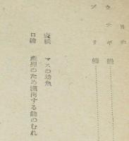 魚の回遊　正誤表入り