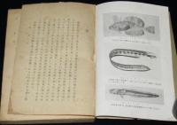 魚の科学