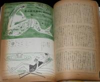 文藝春秋 漫画読本　昭和33年8月号　やなせ・たかし絵はがき/清水崑/小島功