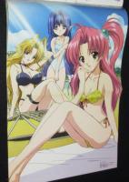 メガミマガジンvol.40　2003年/水着強化月間クライマックス/らいむいろ戦奇譚/ぽぽたん
