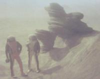 【映画ロビーカード】スター・トレック 2 カーンの逆襲 1枚　1982年作品
