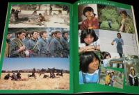【映画パンフ】野性の証明　1978年公開時パンフ/高倉健/薬師丸ひろ子/館ひろし