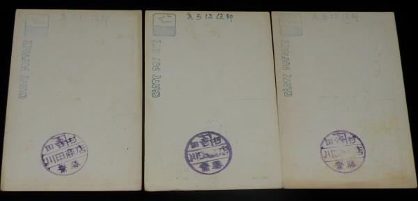戦前絵葉書】平和博覧会 実景絵葉書 封筒3枚入 大正11年/平和記念東京