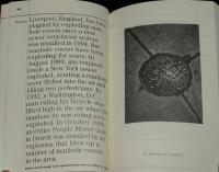 【洋書】THE PARANOID's Pocket Guide　パラノイド・ポケットガイド