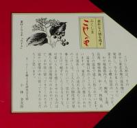 【弁当包み紙】福島 こけしの里弁当　特製幕の内　昭和57年/福島駅構内/伊東弁当部