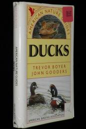 【洋書】AMERICAN NATURE GUIDES DUCKS　アメリカ自然ガイド/ダック/アヒル