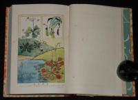 日本児童文庫44　珍しい動植物　裸本　口絵：深澤省三/挿画：近藤湖畔/山田壽雄