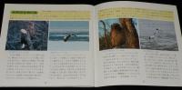 知床の野鳥観察　郷土学習シリーズ3