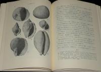 化石鑑定のガイド　裸本